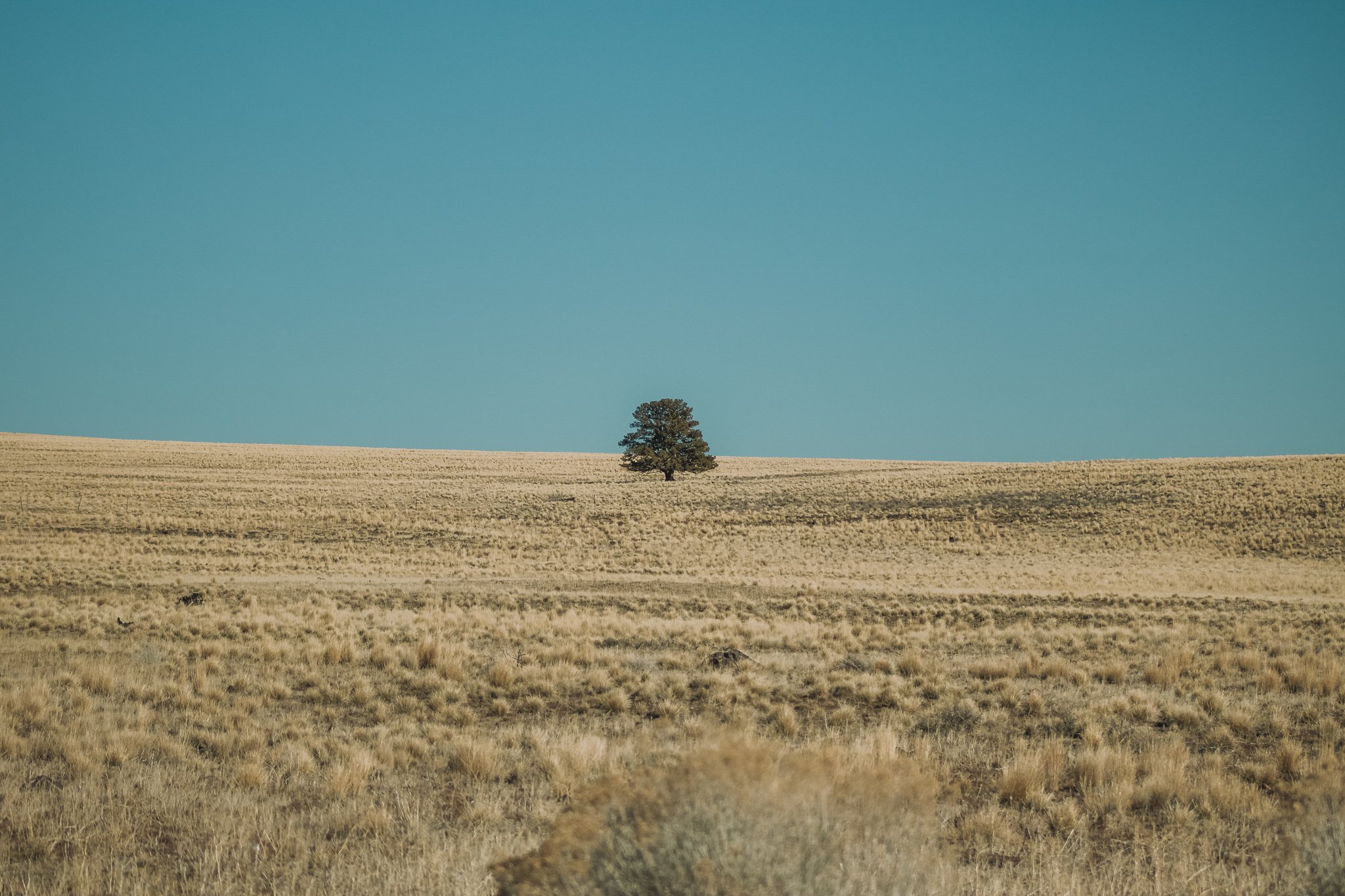 Weekend Exploring Bend, Oregon